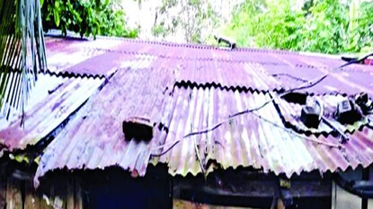 ঘরে সাপ (প্রতীকী চিত্র) ঘরে সাপ (প্রতীকী চিত্র)