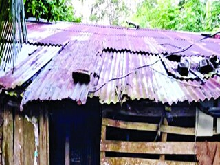 ঘরে সাপ (প্রতীকী চিত্র)