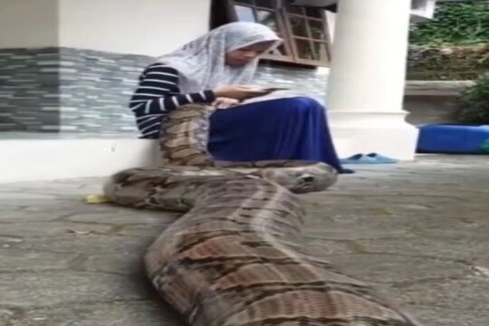 দৃশ্য দেখে শিউরে উঠছে সকলে