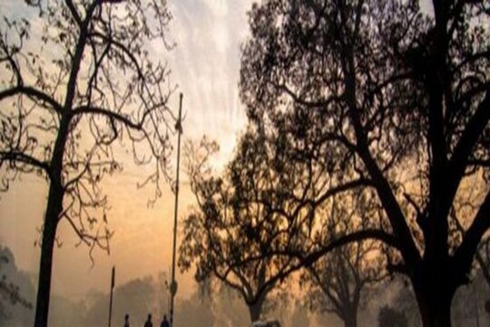 দক্ষিণবঙ্গের উপকূলের চার জেলায় আজ ও সকালে আংশিক মেঘলা আকাশ। দু-এক পশলা হালকা বৃষ্টির সামান্য সম্ভাবনা। উত্তর ও দক্ষিণ ২৪ পরগনা পূর্ব ও পশ্চিম মেদিনীপুর এবং সংলগ্ন কলকাতা হাওড়া হুগলি ও ঝাড়গ্রামে হালকা বৃষ্টির সামান্য সম্ভাবনা। বেলা বাড়লে পরিষ্কার আকাশ হয়ে যাওয়ার সম্ভাবনা। এমনটাই জানাচ্ছে আবহাওয়ার পূর্বাভাস।