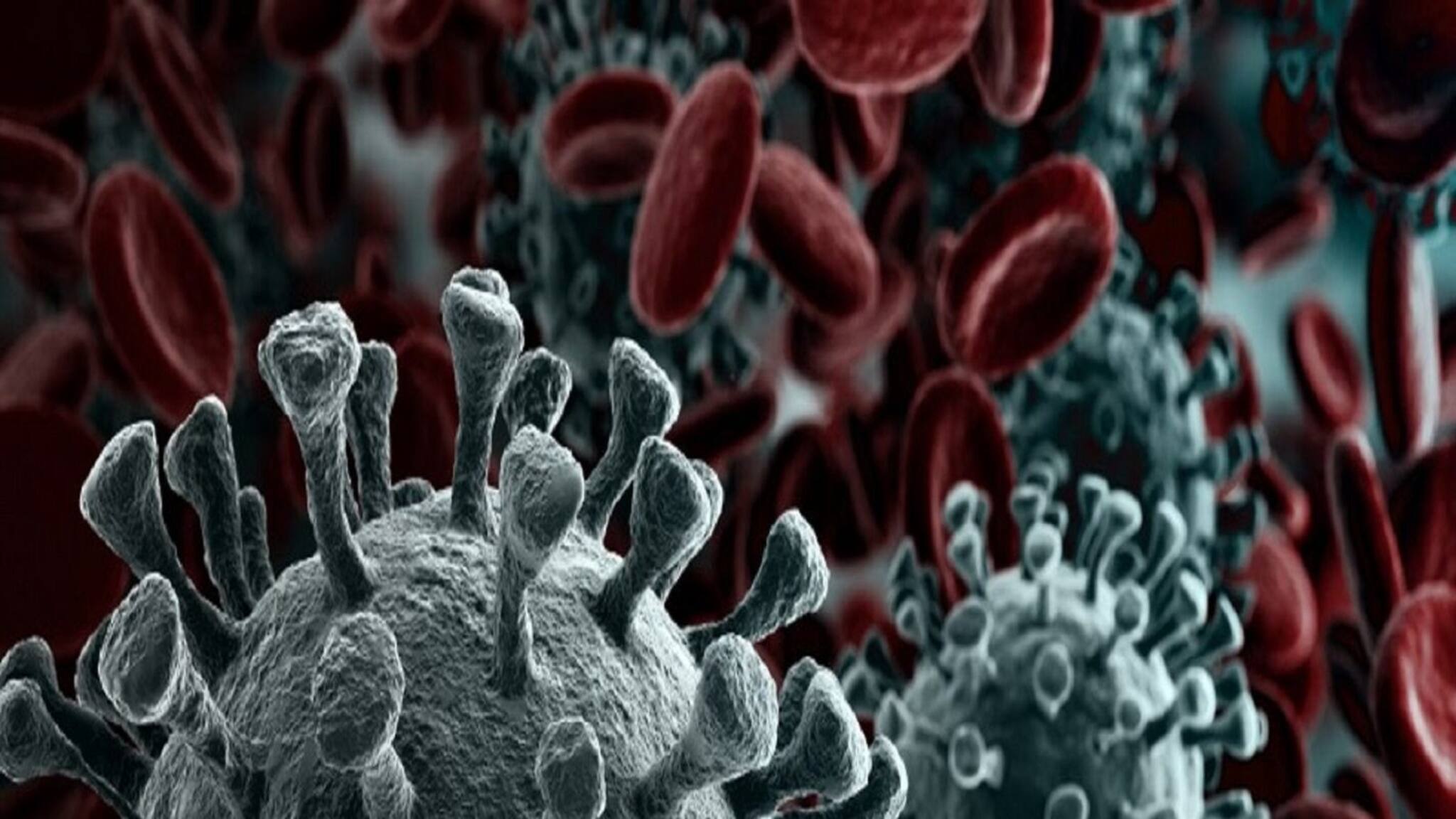 EXPLAINED: কোভিড-যুদ্ধে ঝুঁকিপ্রবণ এই জিনটিই ভাবাচ্ছে বিশেষজ্ঞদের, আশঙ্কার মুখে ভারত!