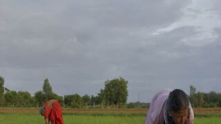 চাষিদের জন্য তৈরি হচ্ছে এগ্রিস্টেক প্রজেক্ট, এটি আসলে কী?