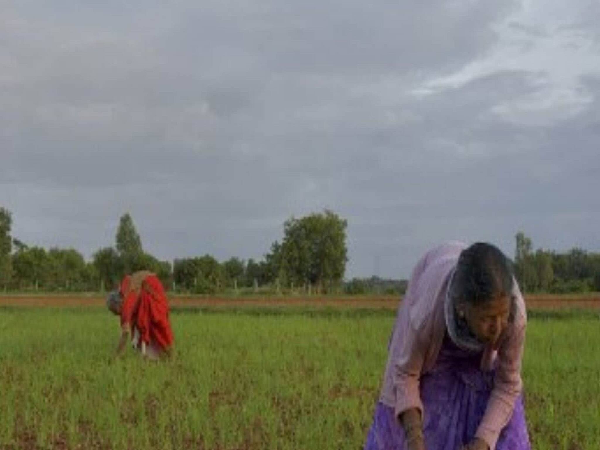 EXPLAINED: চাষিদের জন্য তৈরি হচ্ছে এগ্রিস্টেক প্রজেক্ট, এটি আসলে কী?