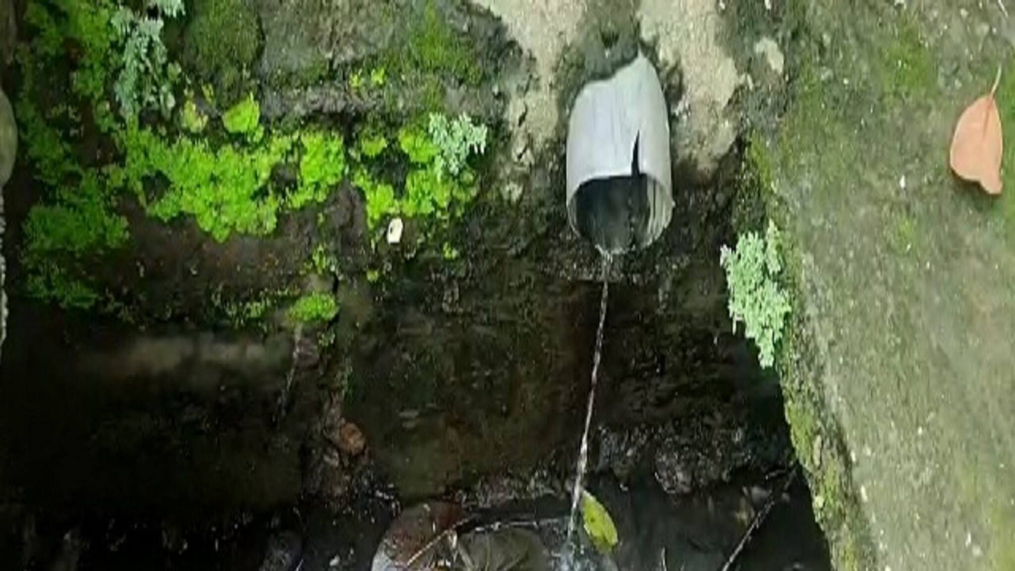 Bangla News | Dengue in Siliguri: করোনার পর ডেঙ্গির মারাত্মক থাবা, শিলিগুড়ির পরিস্থিতি মোটেই সুবিধের নয়!