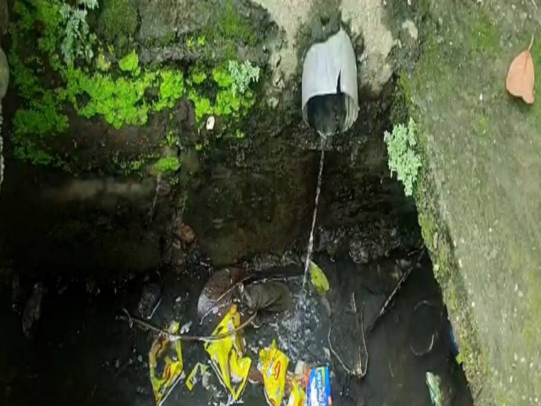 Bangla News | Dengue in Siliguri: করোনার পর ডেঙ্গির মারাত্মক থাবা, শিলিগুড়ির পরিস্থিতি মোটেই সুবিধের নয়!