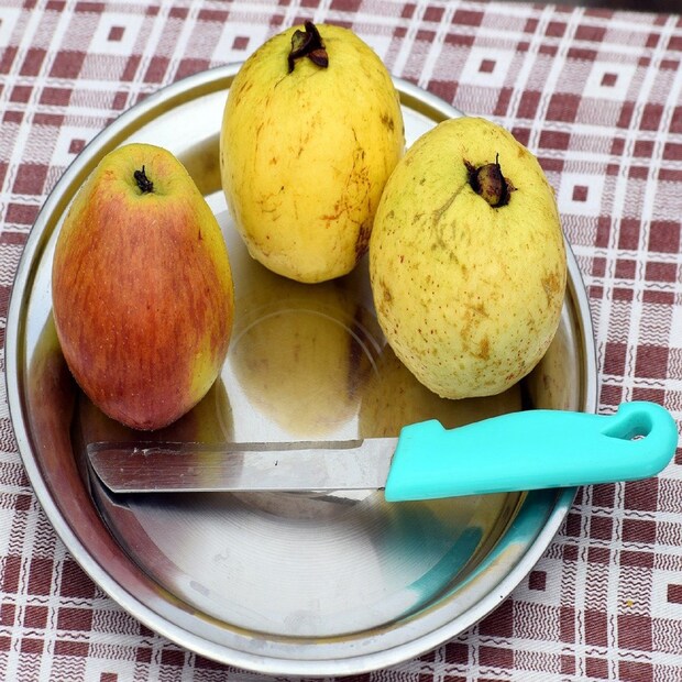 আপেল, পেয়ারা খেতে পারেন। মুসাম্বি, কমলালেবু, কালোজাম, জামরুল জাতীয় ফল খেতে পারেন। তবে যা-ই খাবেন, চিকিৎসক ও ডায়াটিশিয়ানের পরামর্শ নিয়ে খেতে হবে। পটল, চিচিঙ্গা, চালকুমড়ো, করলা, পেঁপে, ঢ্যাঁড়স, বেগুন, বাঁধাকপি, লাউ, ফুলকপি, শসা, থোর, মোচা, কুদরি, ক্যাপসিকাম, টম্যাটো, পেঁয়াজ, আদা, সব ধরনের শাক, বিনস, ডুমুর, শিম, সজনে ডাঁটা-- এই সব সব্জি খেতে পারেন। 