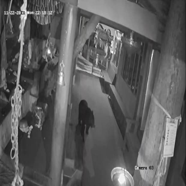 রাতের অন্ধকারে মন্দিরে যেন পুজো দিতে এসেছে কালো ভালুকটি। কোথা থেকে এল, তা অবশ্য এখনও পরিষ্কার নয়। (তথ্য ও ছবি-- পার্থপ্রতিম সরকার)
