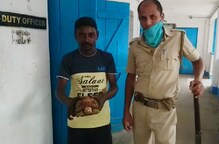 বিরল প্রজাতির কচ্ছপ উদ্ধার! দেখুন ভিডিও বিরল প্রজাতির কচ্ছপ উদ্ধার! দেখুন ভিডিও