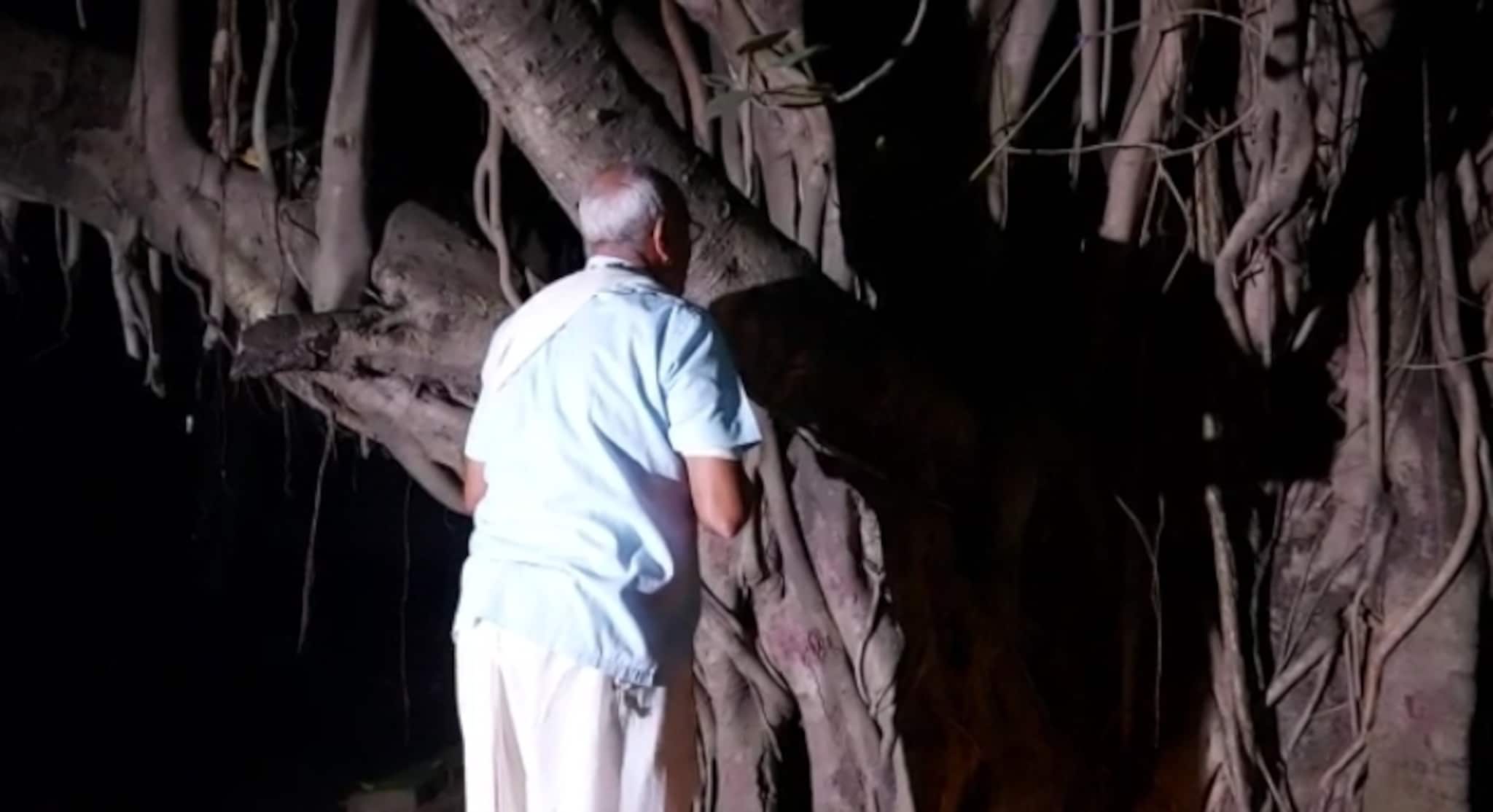 Bangla News|| দীপান্বিতা আমাবস্যায় জেলাজুড়ে চলছে মা কালীর আরাধনা, দেখুন...