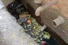 ডেঙ্গুতে আক্রান্ত হয়ে মৃত্যু হল বাগুইআটির এক গৃহবধূর ডেঙ্গুতে আক্রান্ত হয়ে মৃত্যু হল বাগুইআটির এক গৃহবধূর