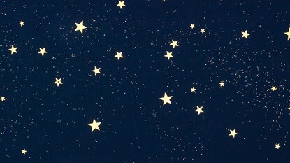 রাশিফল ১০ নভেম্বর: দেখে নিন কেমন যাবে আজকের দিন! রাশিফল ১০ নভেম্বর: দেখে নিন কেমন যাবে আজকের দিন!