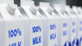 ১. দুধ ও দুধ দিয়ে রান্না করা খাবার
প্রেসার কুকারে দুধ জাতীয় কিছু রান্না একদমই করা উচিত নয়। দুধ একটু গরম হলেই উথলে ওঠে। তাই দুধ দিয়ে কোনও রান্না প্রেসার কুকারে করা ঠিক নয়। কেবল রান্না করাই যে সমস্যা, তা-ই নয়, যেকোনও মুহূর্তে ঘটে যেতে বড় দুর্ঘটনা। ১. দুধ ও দুধ দিয়ে রান্না করা খাবার
প্রেসার কুকারে দুধ জাতীয় কিছু রান্না একদমই করা উচিত নয়। দুধ একটু গরম হলেই উথলে ওঠে। তাই দুধ দিয়ে কোনও রান্না প্রেসার কুকারে করা ঠিক নয়। কেবল রান্না করাই যে সমস্যা, তা-ই নয়, যেকোনও মুহূর্তে ঘটে যেতে বড় দুর্ঘটনা।