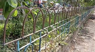 ডিভাইডারের রেলিং থেকে ফলাগুলি সরানোর কাজ চলছে।