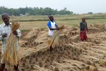 আজ সারাদিন যা যা হল বীরভূমে, দেখুন ভিডিও আজ সারাদিন যা যা হল বীরভূমে, দেখুন ভিডিও