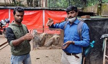 একই সঙ্গে পাঁচটি লক্ষ্মী পেঁচা উদ্ধার পূর্ব বর্ধমানে 