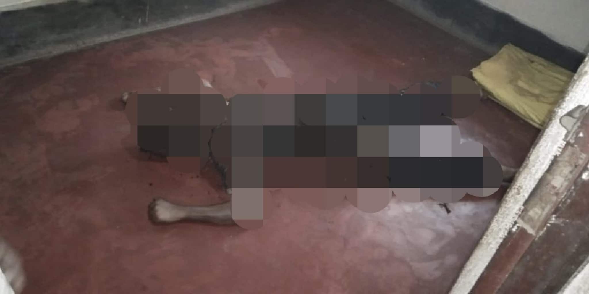 মোবাইলে আসক্তি কিশোরী কন্যার, বকাবকি করতেই 'আত্মঘাতী' পশ্চিম মেদিনীপুরের উচ্চ মাধ্যমিক ছাত্রীর
