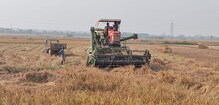ন্যাড়া পোড়ানো কতটা ক্ষতিকর, ঢেঁড়া পিটিয়ে সচেতনতা বার্তা পশ্চিমবঙ্গ বিজ্ঞান মঞ্চের ন্যাড়া পোড়ানো কতটা ক্ষতিকর, ঢেঁড়া পিটিয়ে সচেতনতা বার্তা পশ্চিমবঙ্গ বিজ্ঞান মঞ্চের