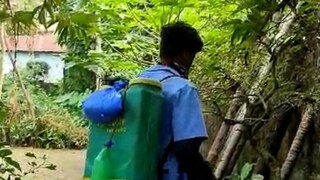 নিজস্ব চিত্র