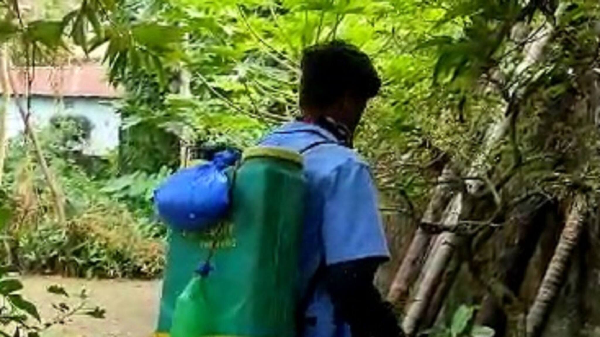 Bangla News: আপার বাগডোগরায় ছড়াচ্ছে ডেঙ্গু, বাড়ছে উদ্বেগ ! 