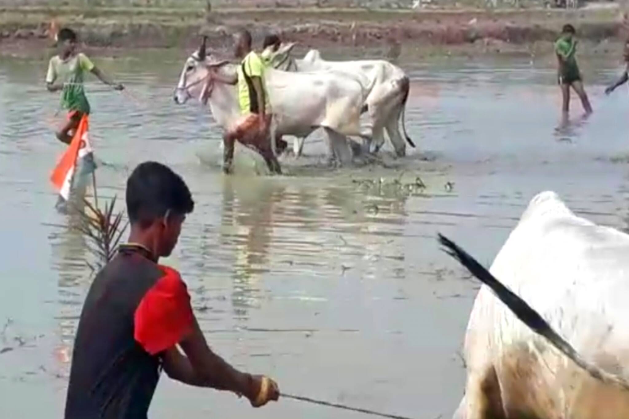 South 24 pargana: ঐতিহ্যবাহী গ্রাম্য রীতি মেনে পালন করা হল 'মই ছাড়া' অনুষ্ঠান