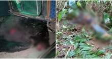 ভল্লুকের আক্রমণ ও শ্রমিকদের পালটা মারে মৃত ভল্লুক