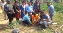 অন্ধকারে কেটে ফেলা হয়েছে বহু বছরের পুরনো গাছ অন্ধকারে কেটে ফেলা হয়েছে বহু বছরের পুরনো গাছ