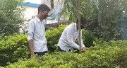 ফিরেছে পড়ুয়াদের কোলাহল, পরিচর্চা পেয়ে সতেজ উদ্ভিদ দল