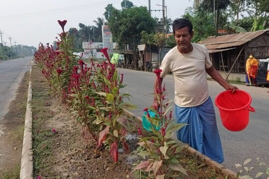 রাস্তার ডিভাইডারে ফুল গাছ লাগিয়ে পরিচর্চা চা বিক্রেতা সুভাষ বাবুর।