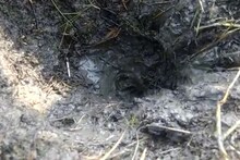 উত্তর ২৪ পরগনার সারাদিনের বাছাই করা খবর এক নজরে।