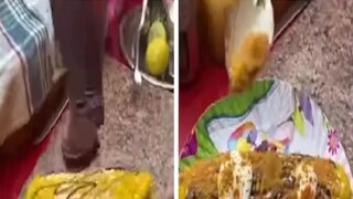 চকোলেট সস আর ক্রিম মাখা গরম গরম ভুট্টা জিভে জল আনছে! দেখুন ভাইরাল ভিডিও  