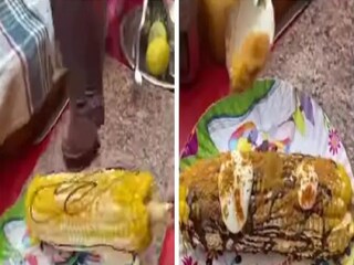 চকোলেট সস আর ক্রিম মাখা গরম গরম ভুট্টা জিভে জল আনছে! দেখুন ভাইরাল ভিডিও  