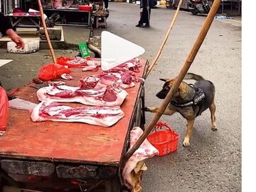 photo source Instagram photo source Instagram