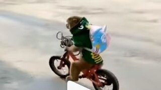 Viral Video: monkey waering school uniform cycling in road- photo Courtesy- Instagram/ Video Grab Viral Video: monkey waering school uniform cycling in road- photo Courtesy- Instagram/ Video Grab