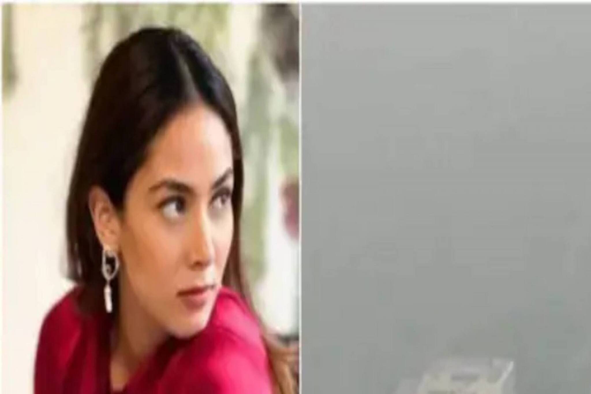 ‘এ আমার ঘর হতে পারে না’, ফেলে আসা দিল্লি নিয়ে উদ্বেগ মীরা রাজপুতের বার্তায়