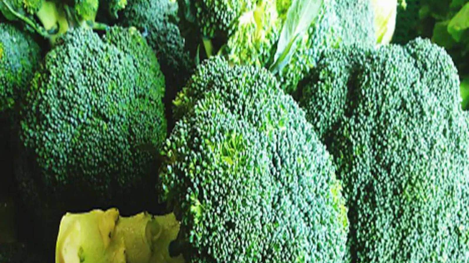 Broccoli has many wonderful health benefits arc News18 Bangla