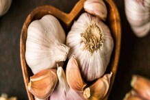 Garlic is essential in winter : নিয়ন্ত্রণ করে উচ্চরক্তচাপ ও মধুমেহ, শীতের ডায়েটে রাখতেই হবে রসুন Garlic is essential in winter : নিয়ন্ত্রণ করে উচ্চরক্তচাপ ও মধুমেহ, শীতের ডায়েটে রাখতেই হবে রসুন