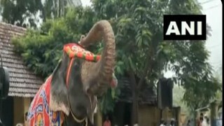 স্কুলে ঢোকার সময় পড়ুয়াদের স্বাগত জানাচ্ছে হাতি৷ 