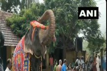 স্কুলে ফিরল পড়ুয়ারা, শুঁড় তুলে স্বাগত জানালো হাতি, দেখুন ভিডিও স্কুলে ফিরল পড়ুয়ারা, শুঁড় তুলে স্বাগত জানালো হাতি, দেখুন ভিডিও