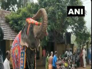 স্কুলে ঢোকার সময় পড়ুয়াদের স্বাগত জানাচ্ছে হাতি৷ 