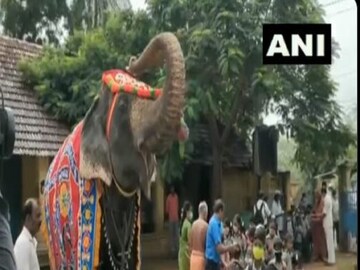 স্কুলে ঢোকার সময় পড়ুয়াদের স্বাগত জানাচ্ছে হাতি৷ 