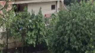 Tirupati Rain: Andhra flood fears