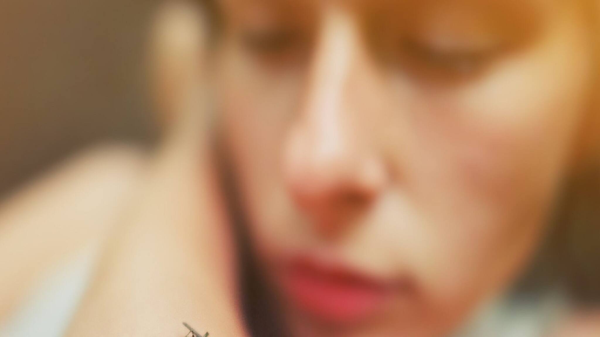 Explained: সাধারণ জ্বর না কি ডেঙ্গু জ্বর, বুঝবেন কী ভাবে?