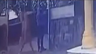 Photo: Twitter Photo: Twitter