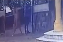 বিয়ের প্রস্তাব নাকচ, বয়ফ্রেন্ডের মুখে অ্যাসিড ছুড়লেন মহিলা ! দেখুন CCTV ফুটেজ বিয়ের প্রস্তাব নাকচ, বয়ফ্রেন্ডের মুখে অ্যাসিড ছুড়লেন মহিলা ! দেখুন CCTV ফুটেজ