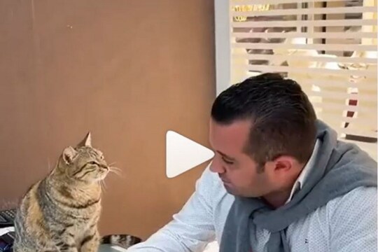 viral video