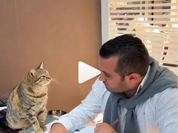 viral video 
