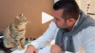 viral video viral video