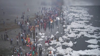 হ্যাঁ, যমুনা এখন এমনই। হ্যাঁ, যমুনা এখন এমনই।
