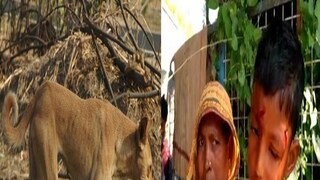 প্রবল আতঙ্ক এলাকায়