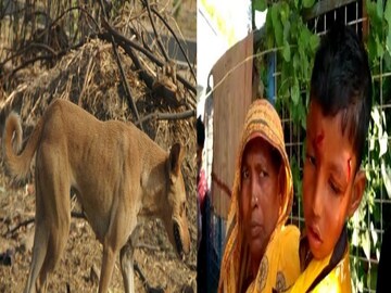 প্রবল আতঙ্ক এলাকায়